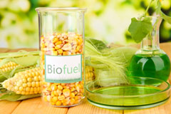 Intake biofuel availability