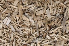 biomass boilers Intake