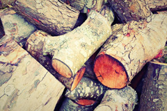 Intake wood burning boiler costs